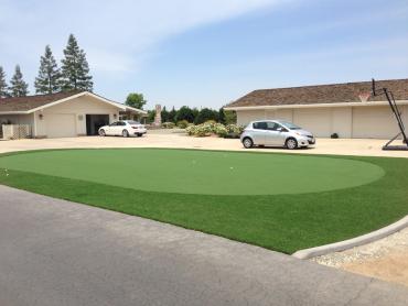 Artificial Grass Photos: Fake Pet Turf Quartz Hill California Landscape